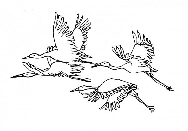 tieng ru tho pham anh