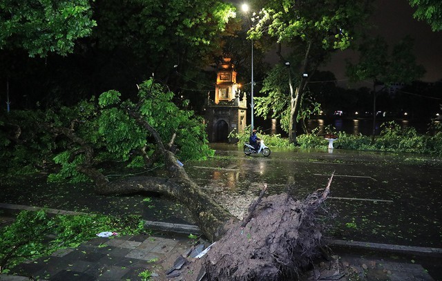 Khi bão lũ đi qua...