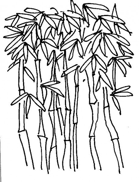 giap tet tho huynh minh tam