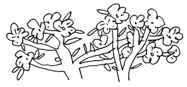 duong len khau pha tho kim chuong