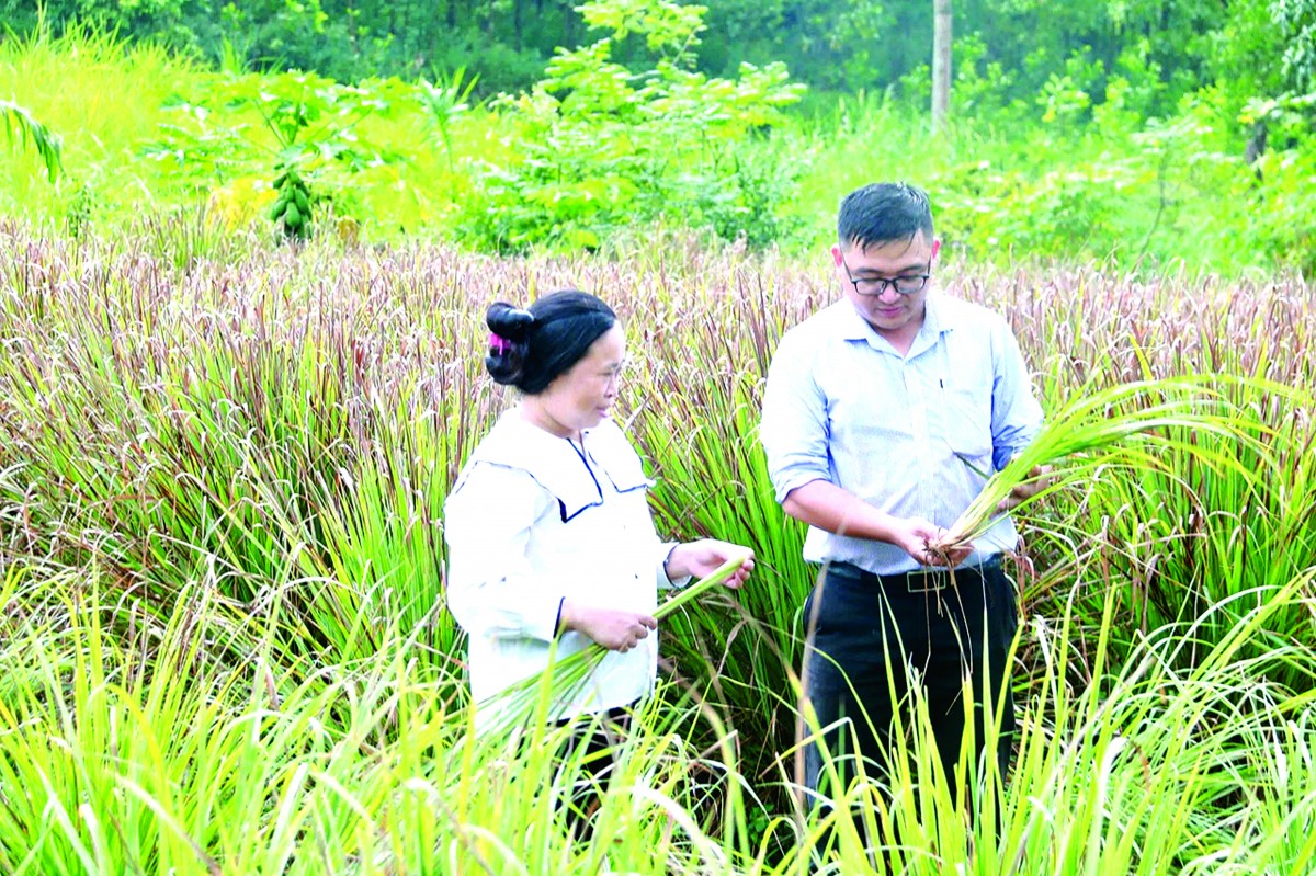 Mô hình: “Ngân hàng tại làng” - Dịch vụ tận tâm của Tài chính vi mô Thanh Hóa