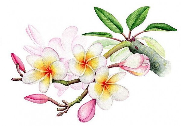 hoa dai do truyen ngan cua nguyen hai yen