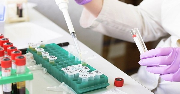 who chua ap dung bien phap han che giao thuong do virus hmpv tren toan cau