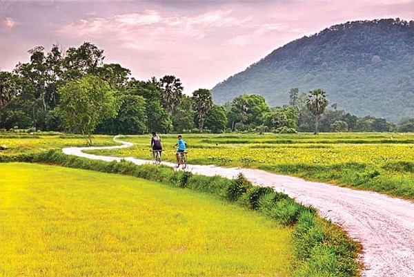 hong gio doi xuan  tan van cua hieu trung long