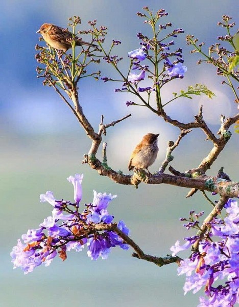 bai tho thoi gian cua lu huy nguyen