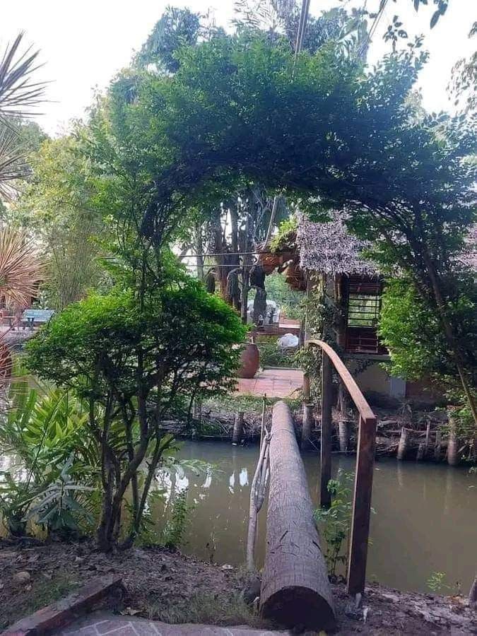 Cây cầu bến sông quê. Tản văn của Bạch Phần