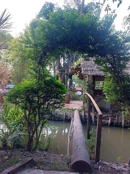 cay cau ben song que tan van cua bach phan