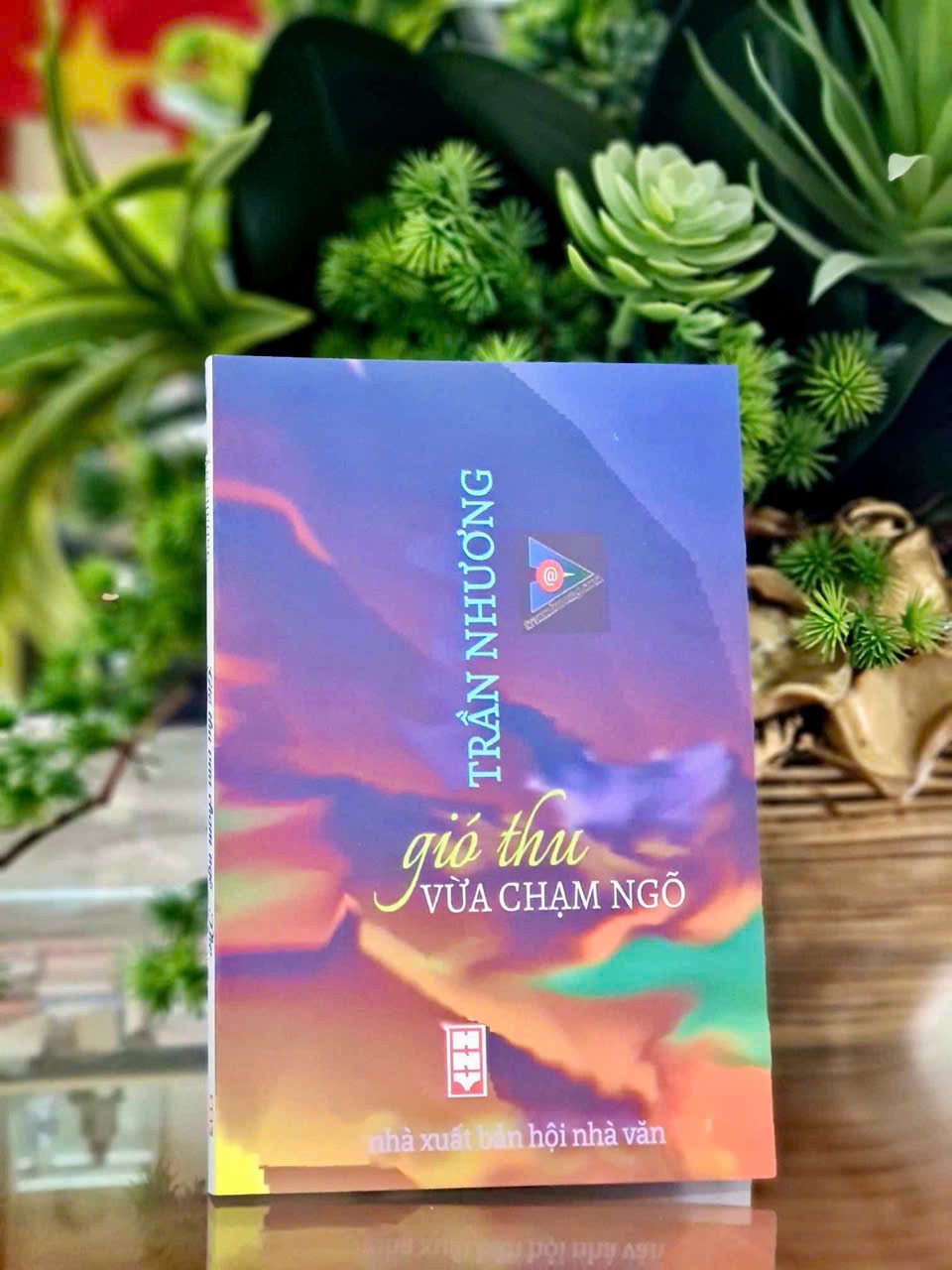 Gió vẫn chập chờn mang gương mặt mùa thu