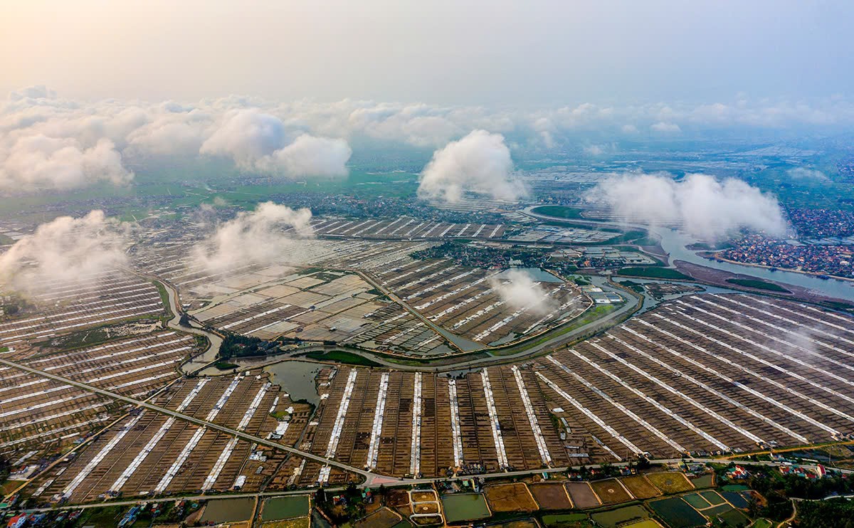 Kí sự Quỳnh Lưu