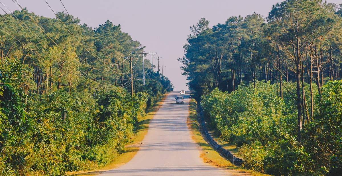 Những dấu chấm lặng. Tản văn của Phong Điệp