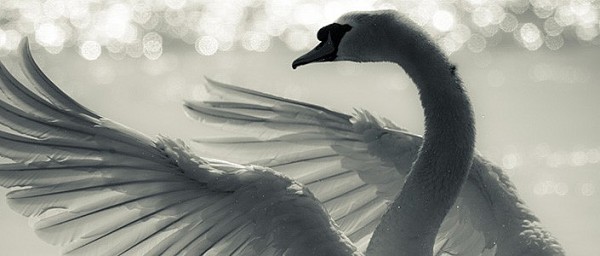 chiec long ngong troi truyen ngan cua tran duc tien