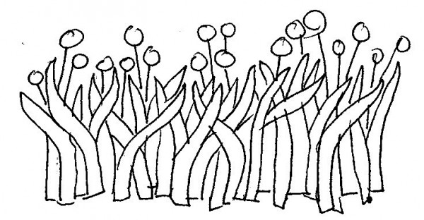 thoi gian tren nam mo tho tran tuan