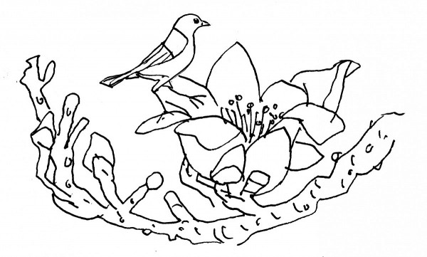 o tro tran gian tho nguyen ngoc hanh