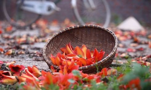 Thời gian và nỗi nhớ. Tản văn của Tạ Xuân Thu