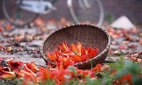 thoi gian va noi nho tan van cua ta xuan thu