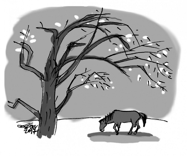 nhap 44 tho lai duy ben