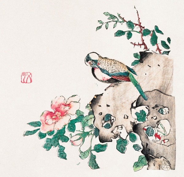 da dam tuy luc luong sinh