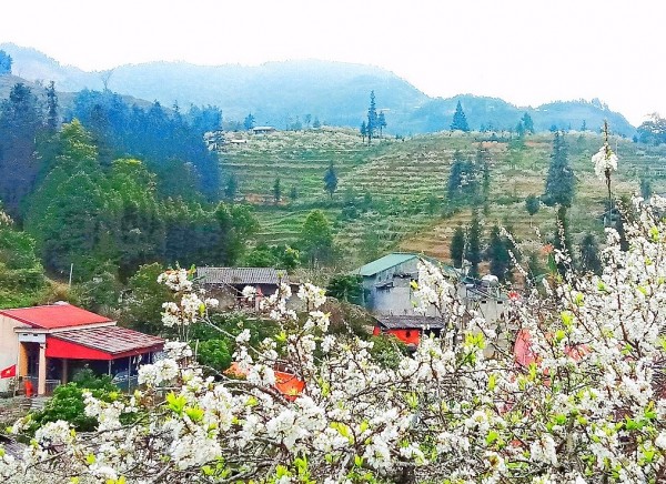 co mot nhiet doi buon truyen ngan cua dang ngoc hung