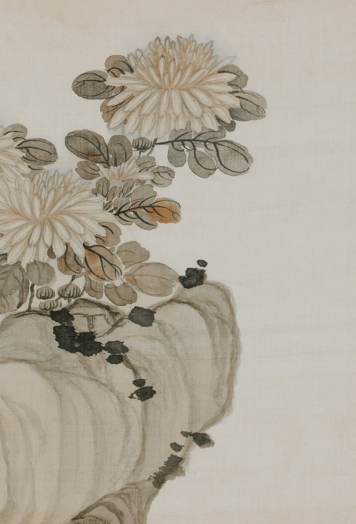 Dạ Đàm tùy lục - Tráng Tử