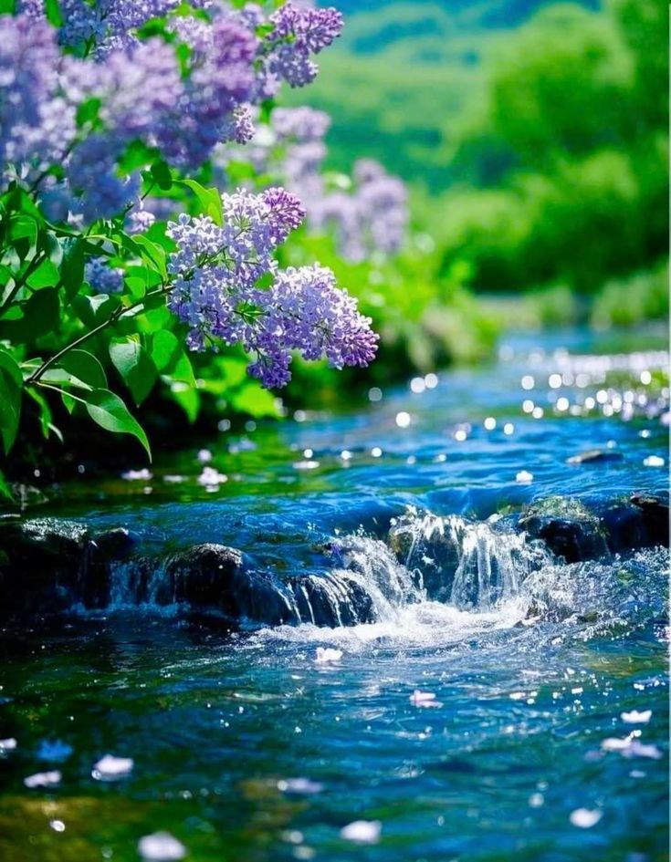 Cá trèo lên đồi. Tản văn của Đỗ Bích Thúy