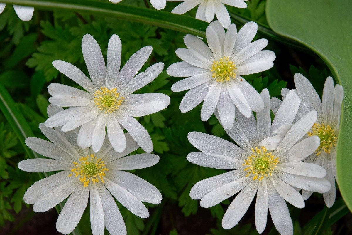 Sinh tồn. Truyện ngắn của Nguyễn Thu Hằng