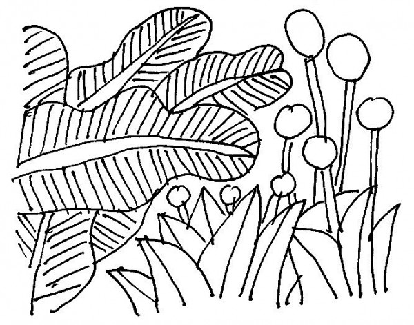 ngoi voi noi buon tho le nguyet minh