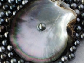 Viên ngọc màu huyết dụ. Truyện ngắn của Nguyễn Thị Ngọc Hà