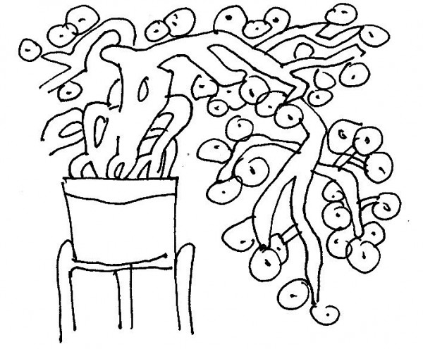 mua thu rung cuoi chan ngay tho nguyen thi lien tam