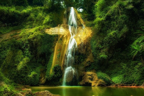 dieu con lai tren da truyen ngan cua trinh thanh phong