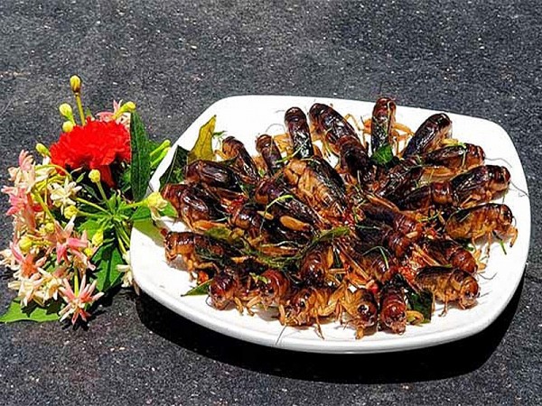 de com mua nuoc lut tan van cua ngo van tuan