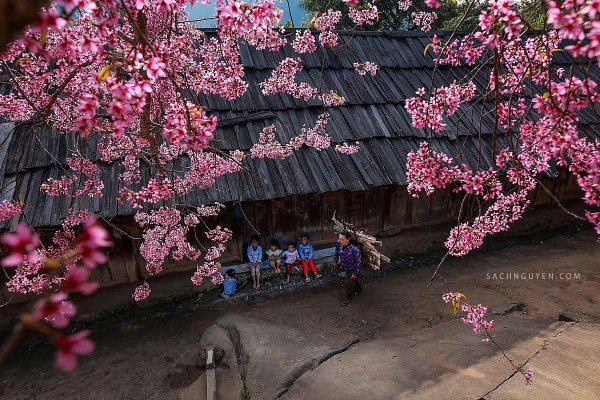 ky son chua gap da thuong roi but ky cua tran quynh nga