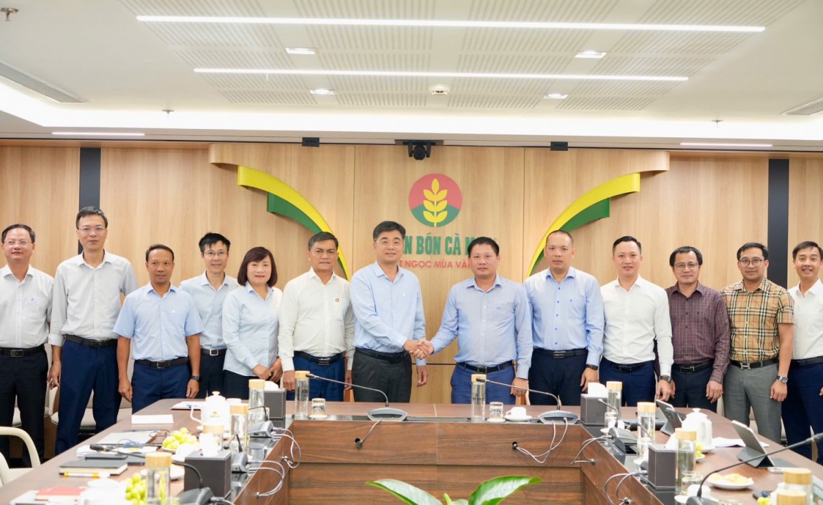 BSR và PVCFC tăng cường hợp tác chiến lược: Mở rộng sang lĩnh vực quản trị và M&A chuỗi giá trị khâu sau