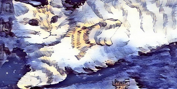 mo mot cai cua so truyen ngan cua nguyen thi nhu hien