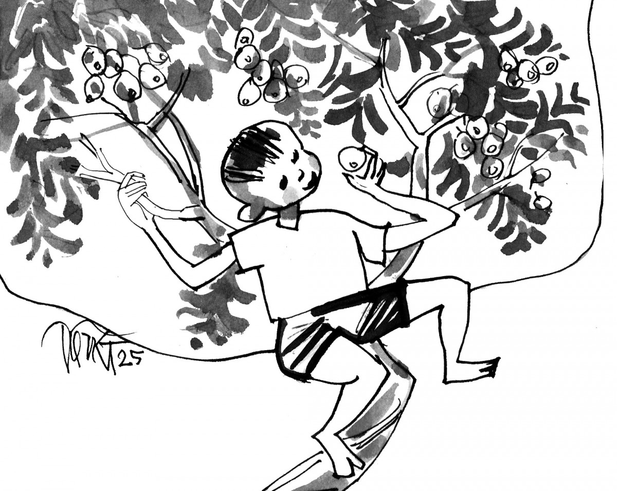 Khát vọng từ một nhành cây. Tản văn của Phạm Phương Liên