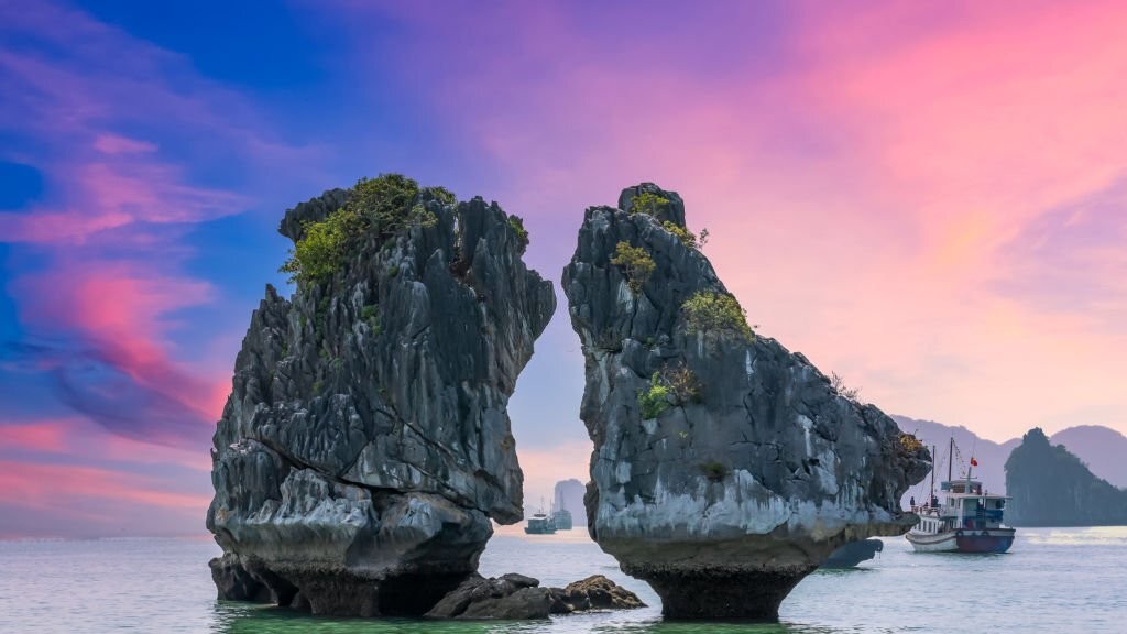 Sư tử không diễn trò