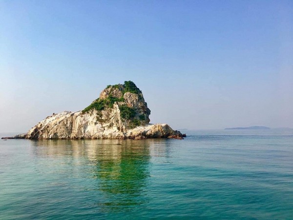 su tu khong dien tro