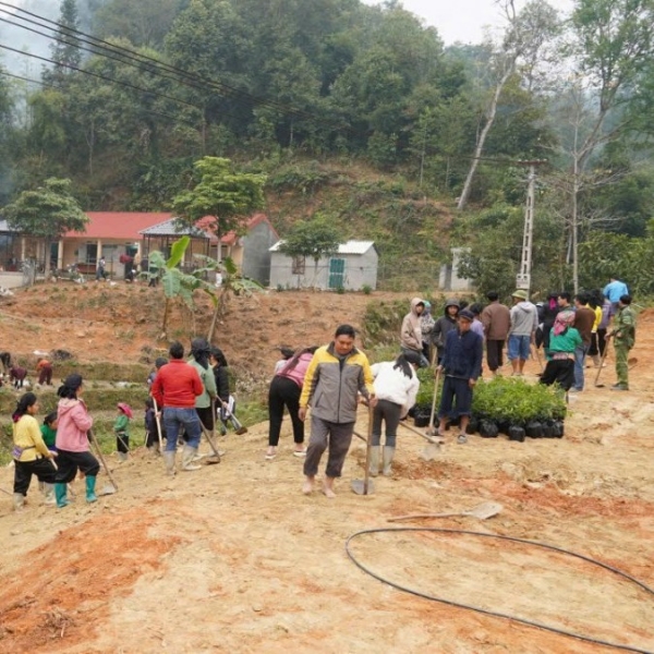 Lan tỏa màu xanh trong Ngày Cây xanh Việt Nam