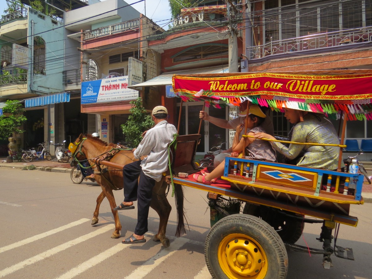 Ngựa Nẫu. Bút ký của Đào Đức Tuấn