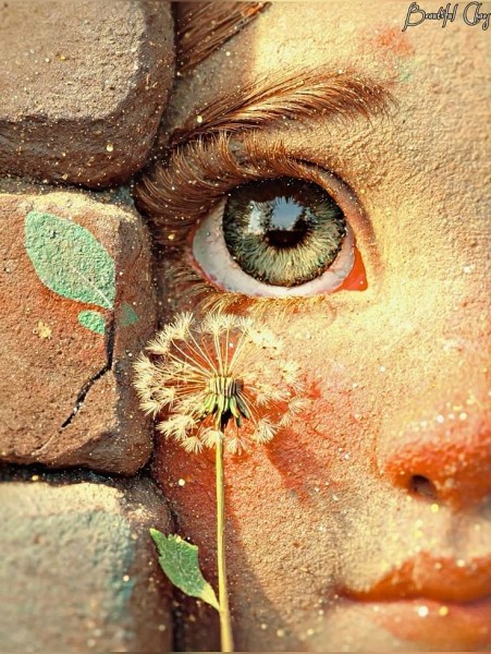 hoa tien tren dinh nui truyen ngan cua nguyen anh dao