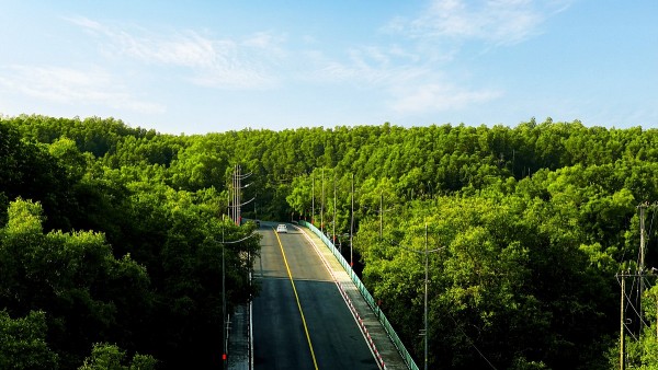 giai chay 5000 runner tai can gio tiep them suc hut cho bieu tuong du lich moi cua tphcm