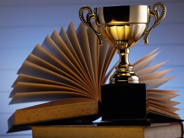 Danh hiệu, giải thưởng và những điều lộn xộn