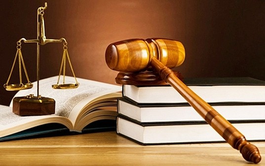 Chính phủ: Quyết liệt tổng rà soát hệ thống văn bản quy phạm pháp luật