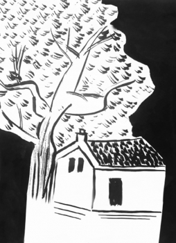 tho nguyen thi hong ngat